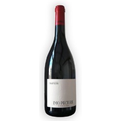 Domaine Sol Payre Cotes Du Roussillon Villages Les Aspres Imo Pectore | French Wine